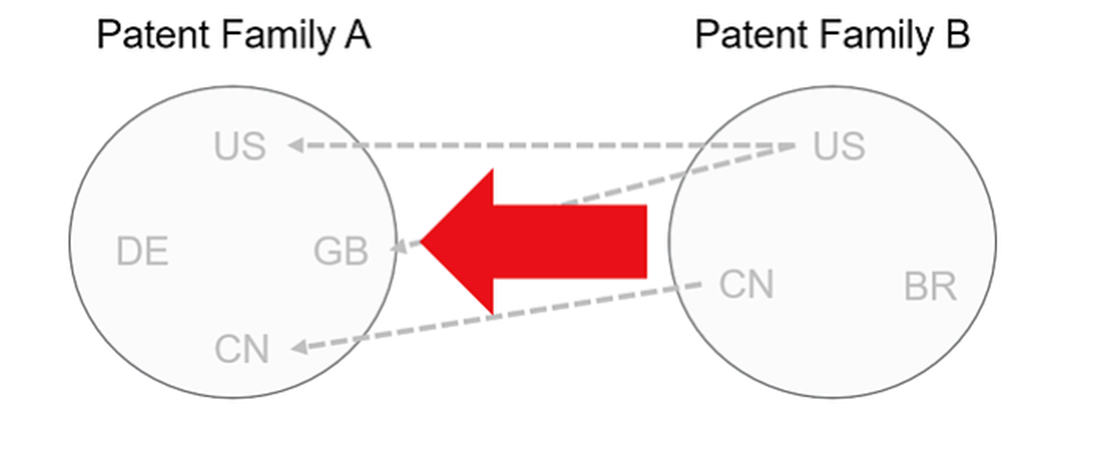 what-is-family-to-family-citation-lexisnexis-intellectual-property